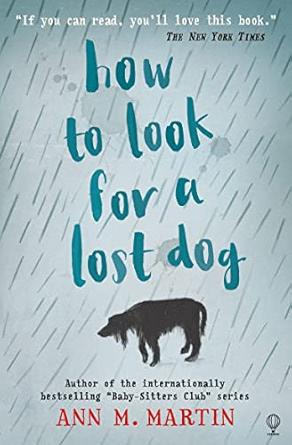How To Look For A Lost Dog