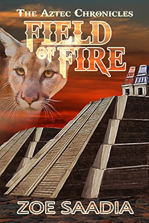 Field of Fire