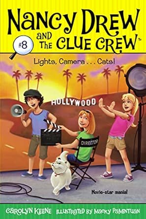 Lights, Camera . . . Cats!