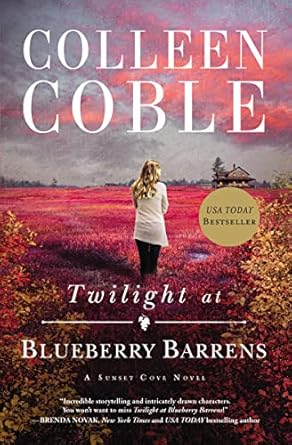 Twilight at Blueberry Barrens