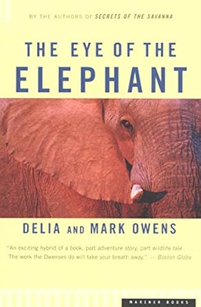 The Eye of the Elephant / Survivor's Song