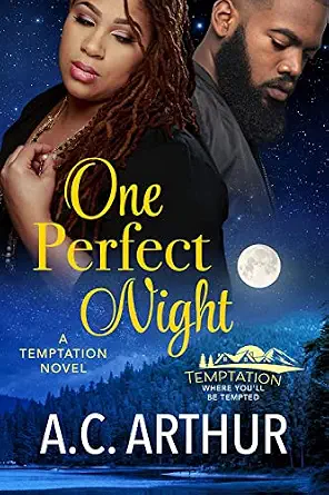 One Perfect Night