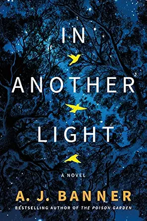 In Another Light
